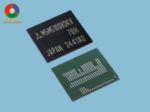 IC RAM