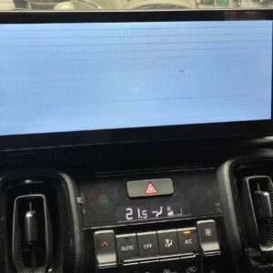 lỗi trắng màn hình xe kia sonet