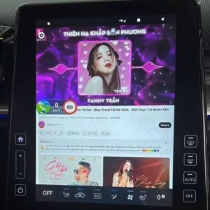 android auto box ô tô hyundai custin